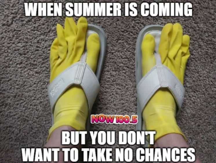 summer is coming.webp