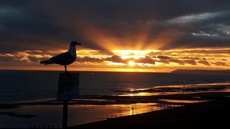 Sunset_12Dec20.webp