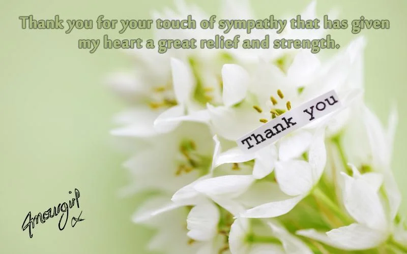 Thank-You-Messages-For-Condolences-Thank-You-Notes-3.webp
