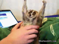tickle2.gif