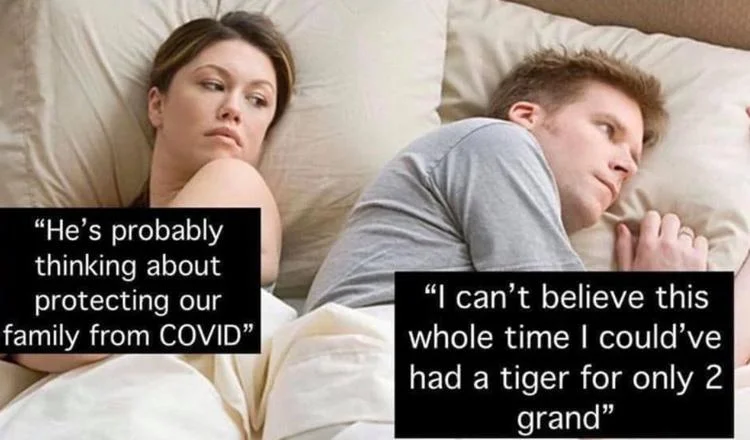 tiger.webp