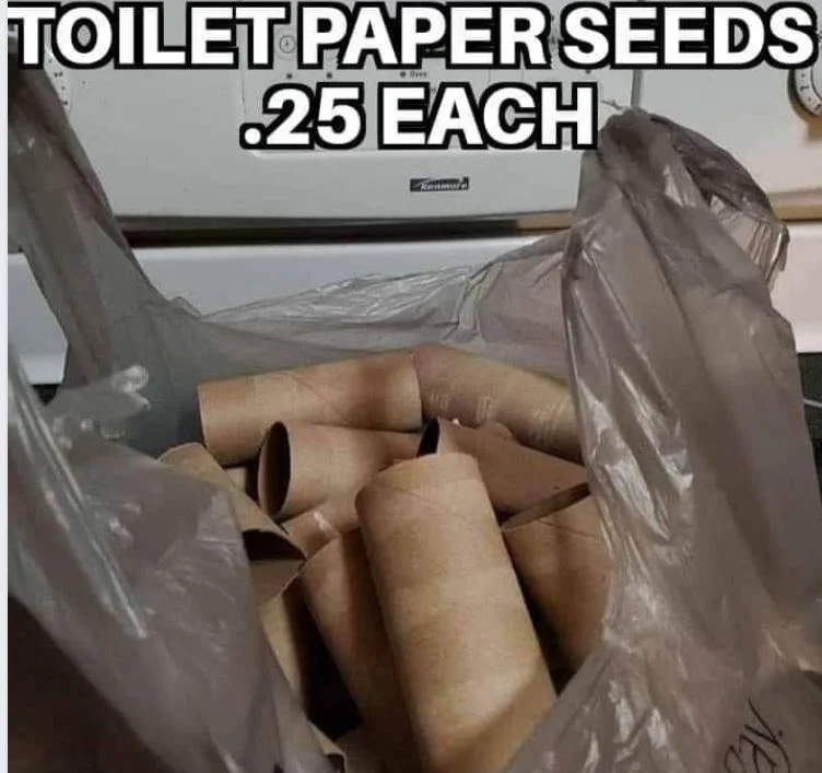 tpseeds.webp
