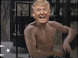 trump.gif