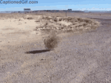 TW.gif