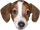 upload_2019-1-21_15-9-21.webp
