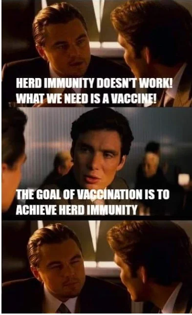 vax.webp