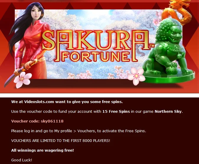 VScookUp.webp