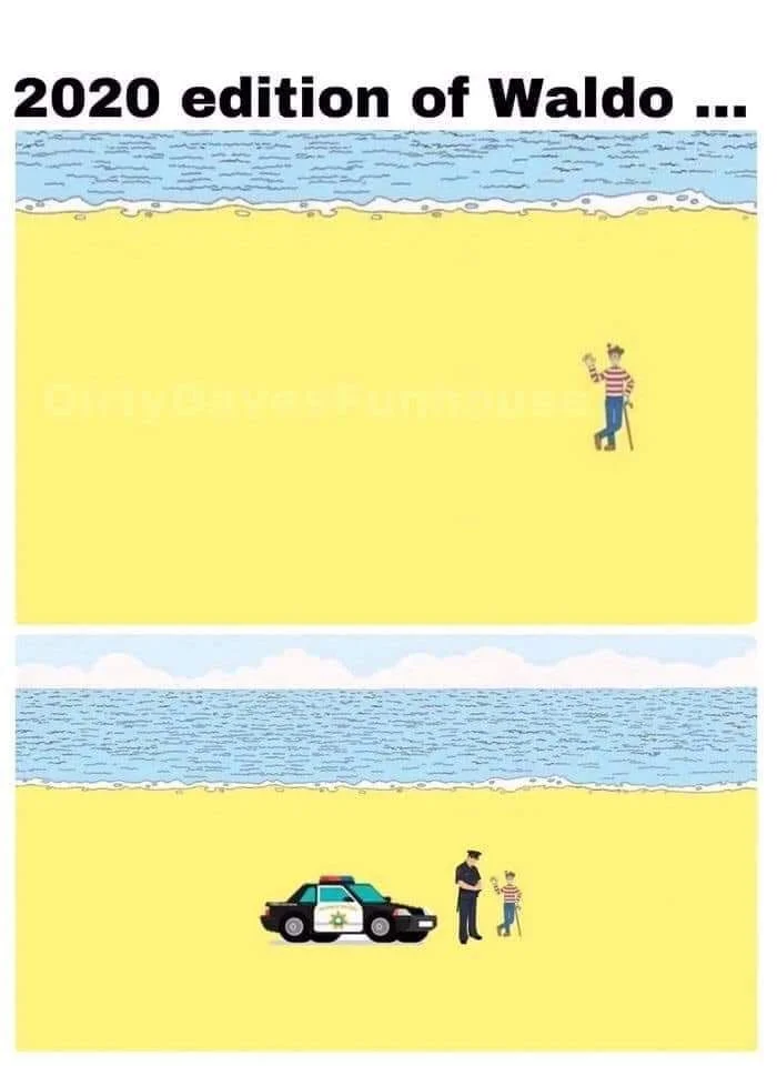 waldo fine.webp