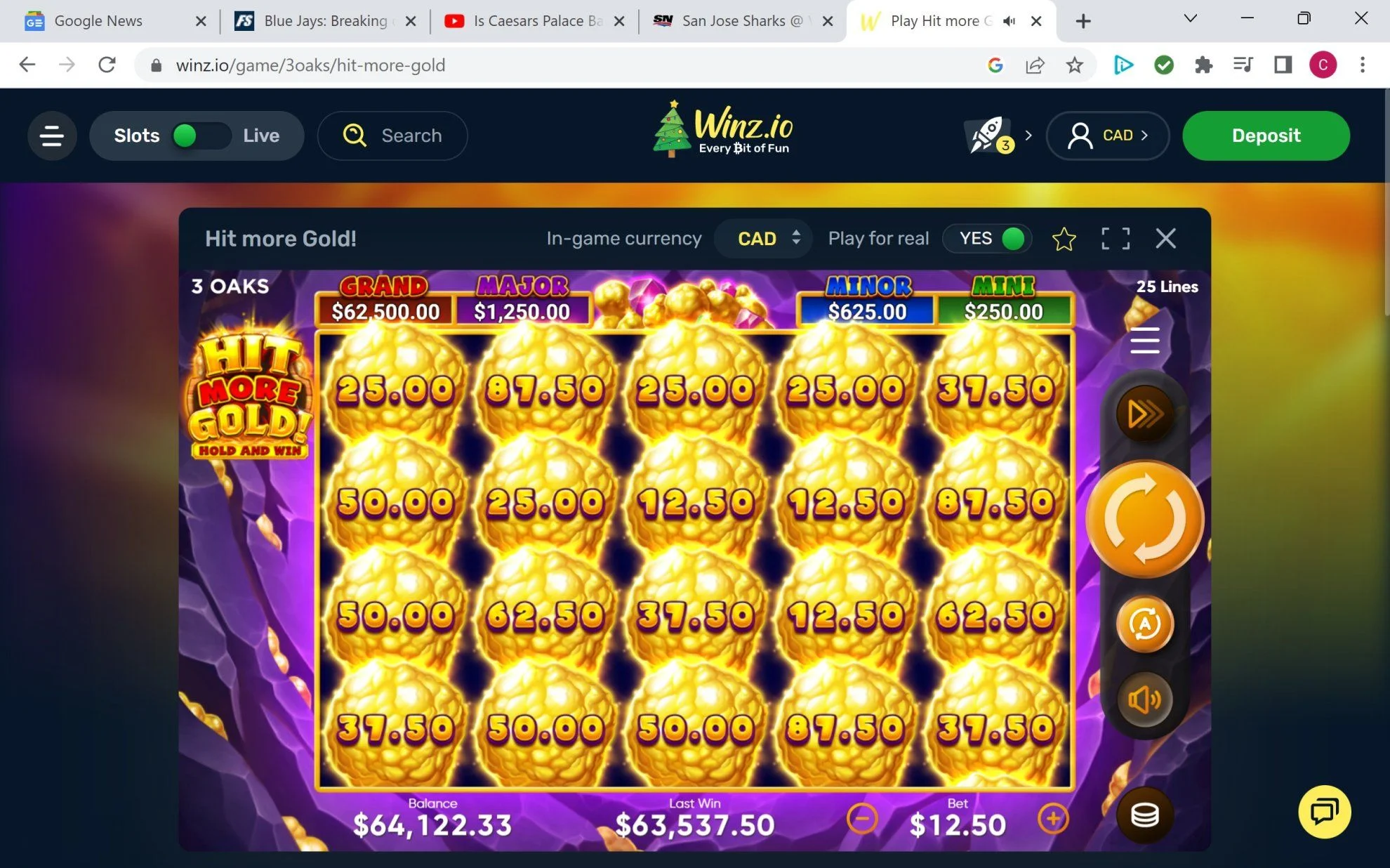 WINZ JP.webp