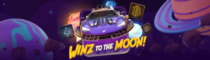 winz_to_the_moon.webp
