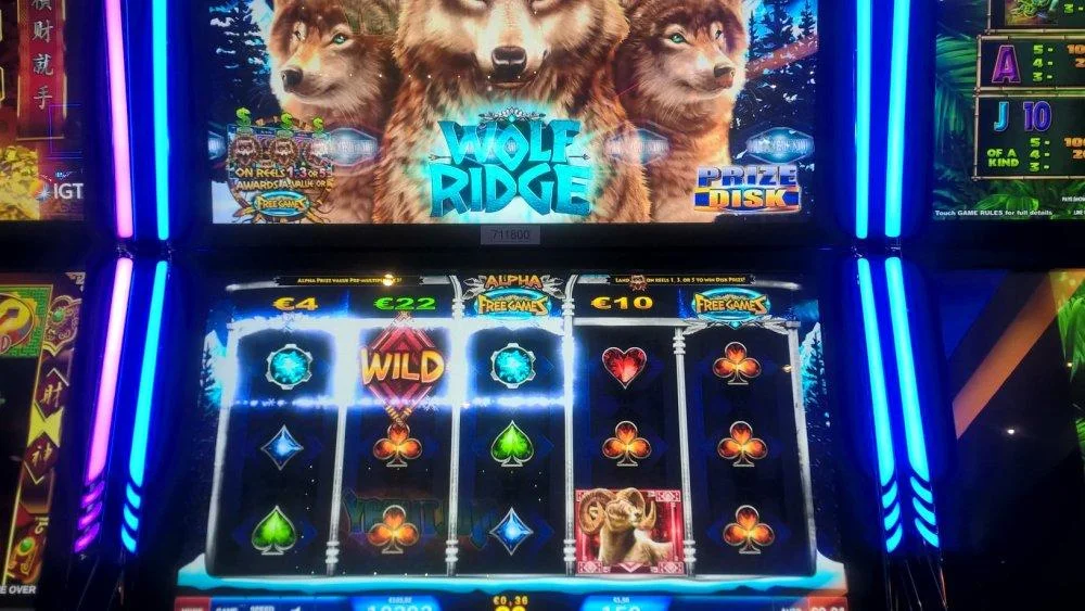 wolf ridge.webp