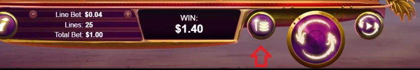 WTmaxBet.webp