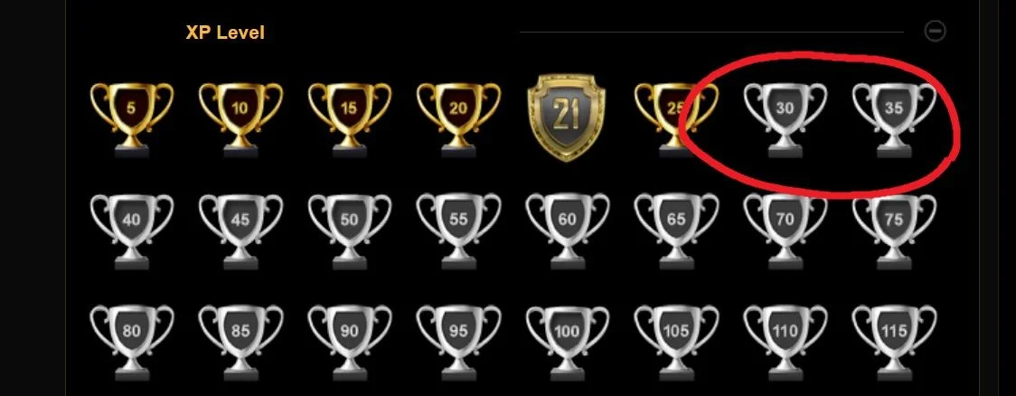 xplevel.jpg