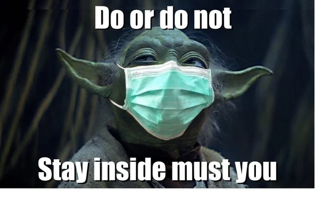 yoda.webp