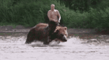 yyt.gif