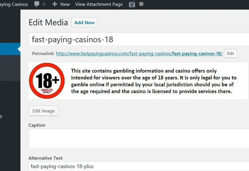 zplagiarism1.webp