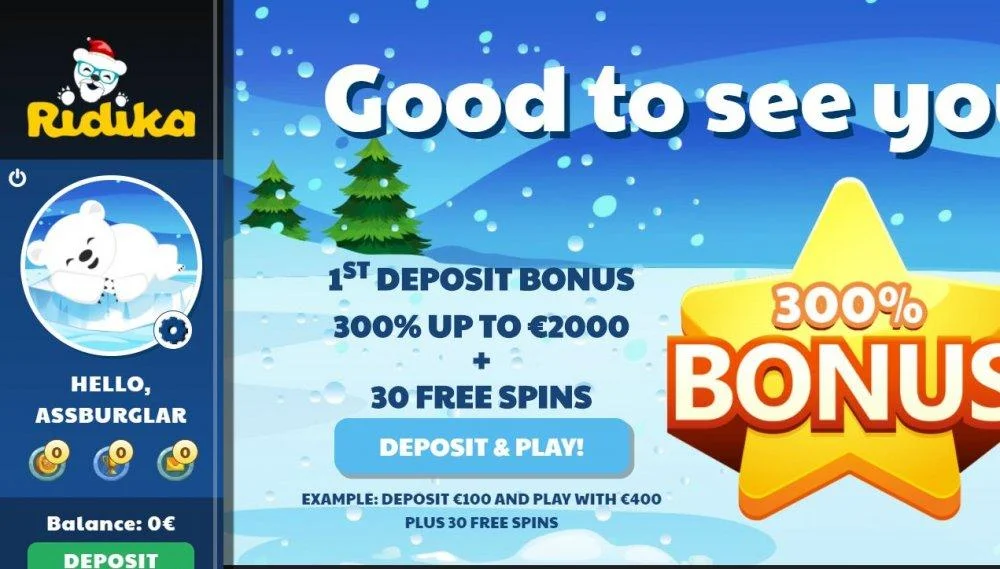 zscam1.JPG