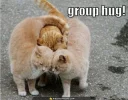 group-hug-.webp group-hug-.webp