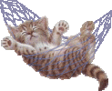cat_47.gif
