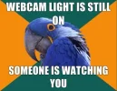 paranoid.webp