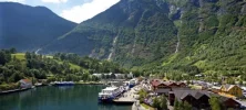 flaam_w2_740x334.webp