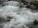 SSL11305.webp