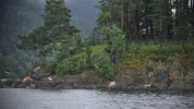 345.webp