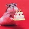 thumbnailCABRBGJY.webp