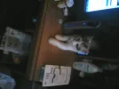 babypita 001.webp