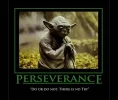 yoda.webp