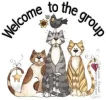 catsWelcomeGroup-vi.webp