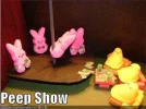 peeps.webp
