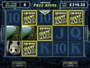 PandaX264_Apr13.webp