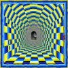 move.webp