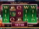 wildc.webp