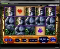 Amazon Queen 426,5x.webp