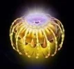 fish2.webp