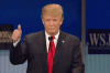 d.gif