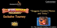 thedoghouse-megaways800x400.jpg thedoghouse-megaways800x400.jpg
