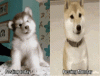 123.gif