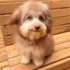3D62C9D9-6BCF-4055-A562-C908C2C4917A.webp