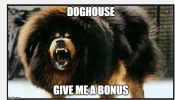 mastiff.webp