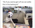 117445169_3026983950744220_6014300783159387713_o.webp