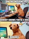 dog on internet.webp