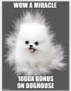tuesdaymeme1.webp