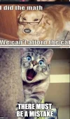 tuesdaymeme3.webp