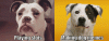 klar.gif