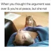 funny-dog-meme.webp