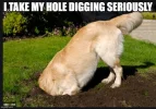 hole1.webp
