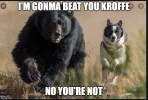 dogwithbear.webp